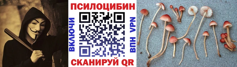 Галлюциногенные грибы мухоморы Усть-Лабинск